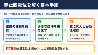 静止膜電位を求める基本手順