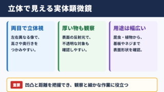 実体顕微鏡の特徴と観察できる対象