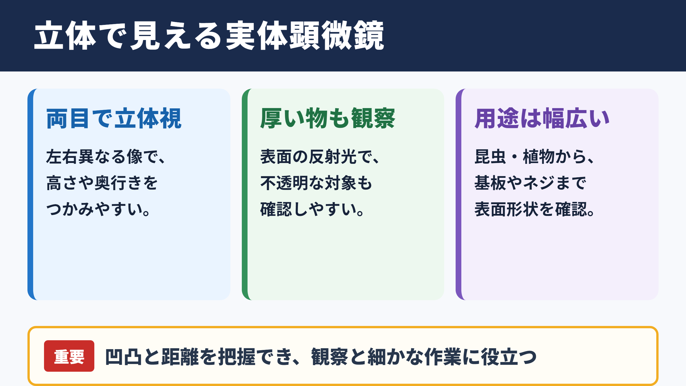 実体顕微鏡の特徴と観察できる対象