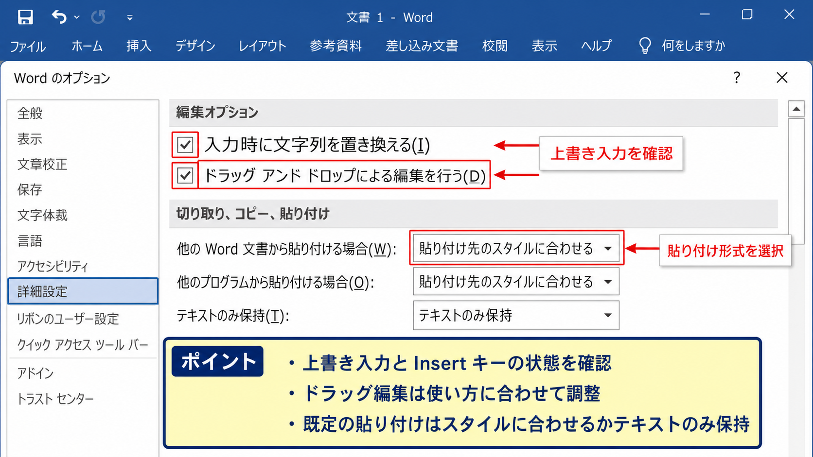 詳細設定にある編集と貼り付けの環境設定