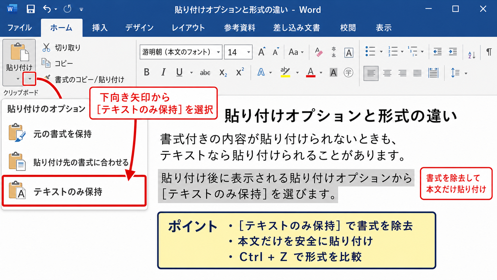 貼り付けオプションと形式の違い