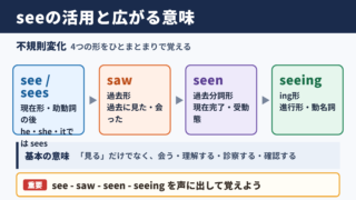 seeの活用形と基本的な意味