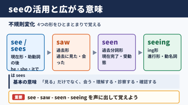 seeの活用形と基本的な意味