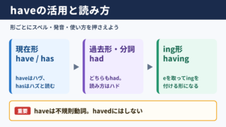 haveの活用と基本的な読み方
