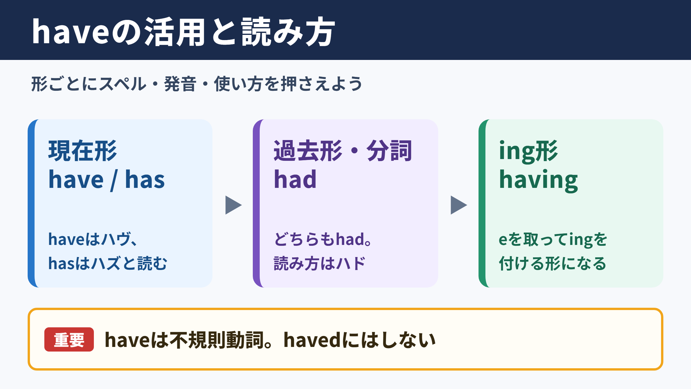 haveの活用と基本的な読み方