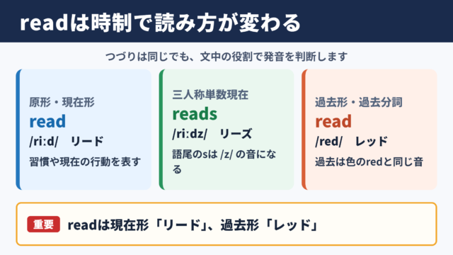 readの活用と読み方の基本