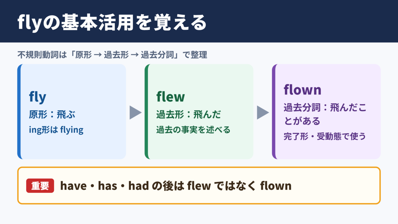flyの過去形・過去分詞・ing形の基本