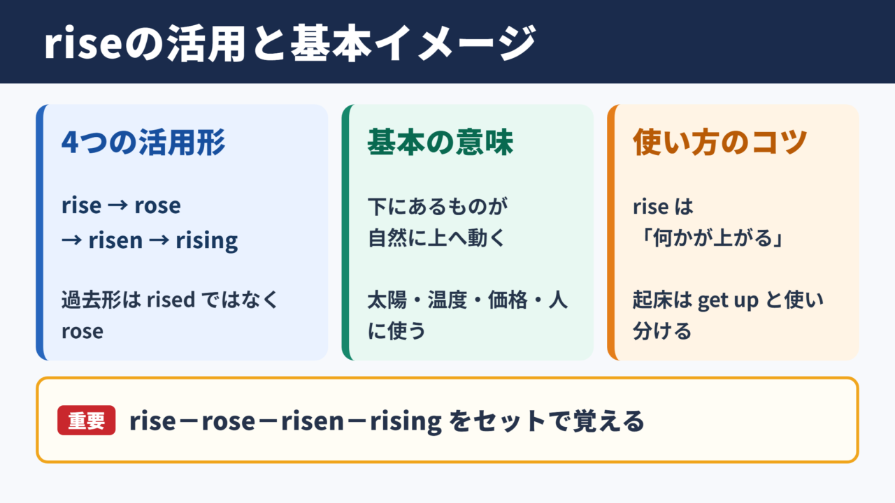 riseの活用と基本的な意味
