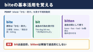 biteの活用と基本ルール