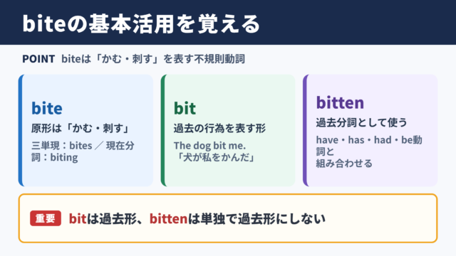 biteの活用と基本ルール