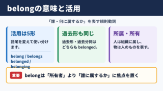 belongの活用と基本的な意味