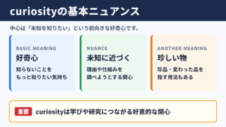 curiosityの意味と基本ニュアンス