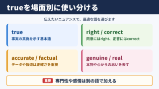 trueの言い換え一覧表とシーン別の使い分け