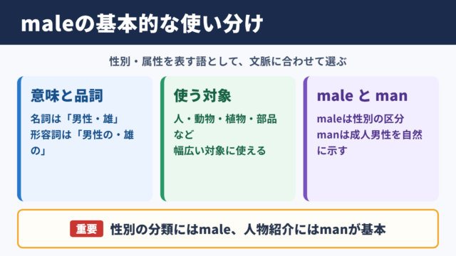 maleの基本的な意味と使い分け