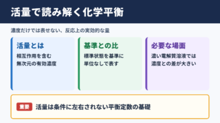 活量の意味と化学における役割