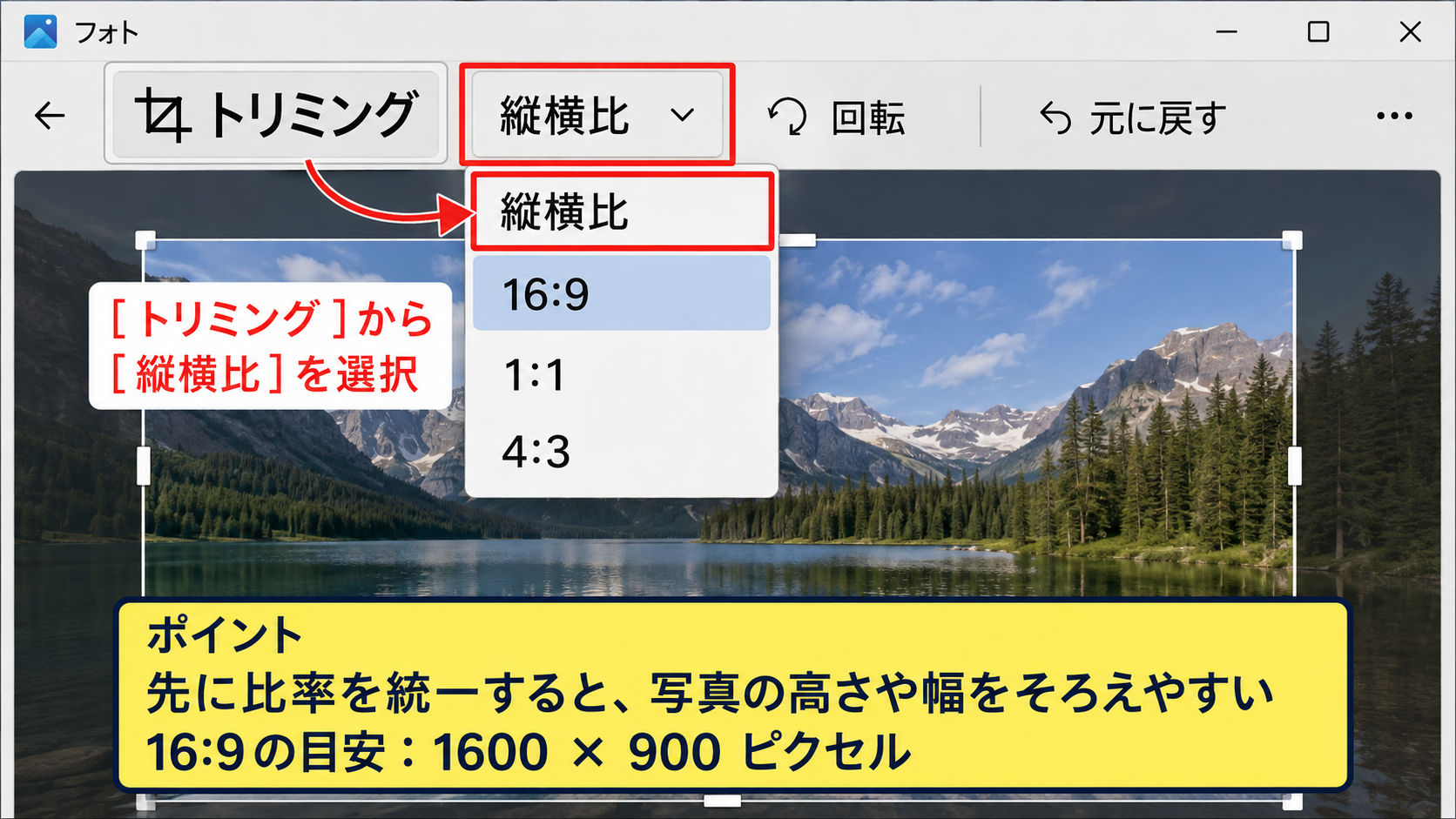 図形に合わせたトリミングと縦横比の固定 - 縦横比に合わせたトリミング
