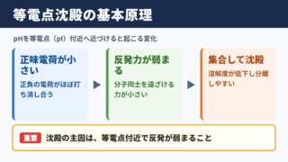 等電点沈殿の基本原理