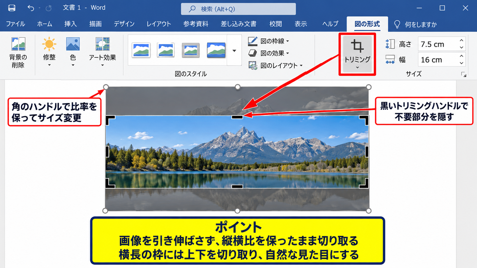 エクセルで画像の一部を切り取る手順 - 縦横比を保ったままの切り取り